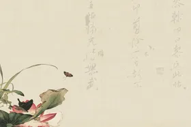 荷花