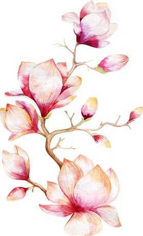 创意花