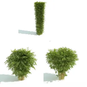 C4D模型绿色植物