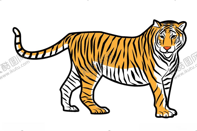编号：94527610090646425260【酷图网】源文件下载-老虎矢量素材