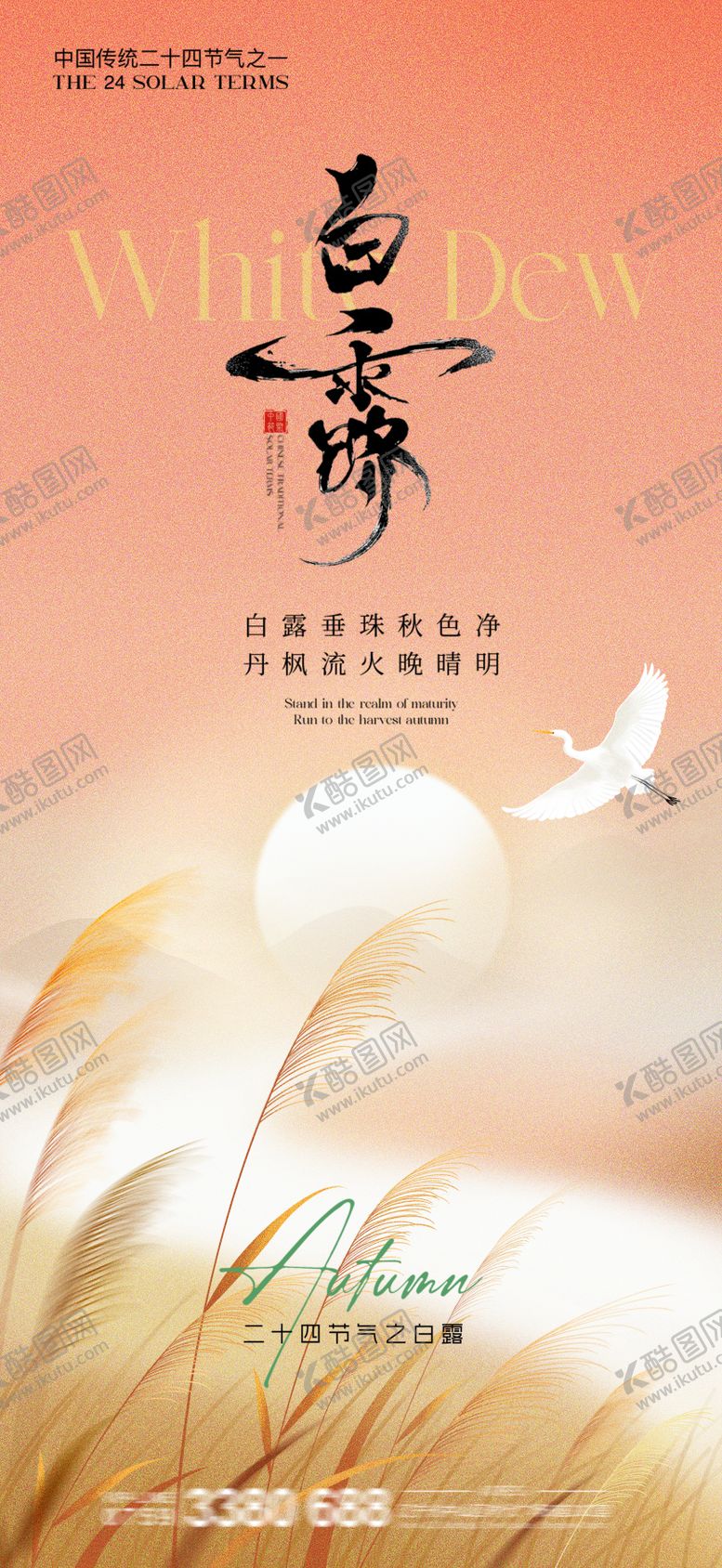 编号：40626910060421498490【酷图网】源文件下载-地产白露节气海报