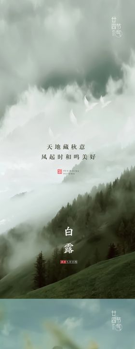 白露节气海报