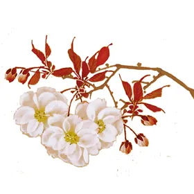 手绘粉色樱花免扣素材图片