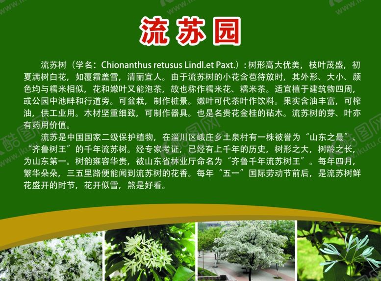 编号：44929710060933596143【酷图网】源文件下载-流苏园展板