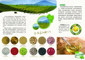 五谷杂粮海报谷物豆豆素材