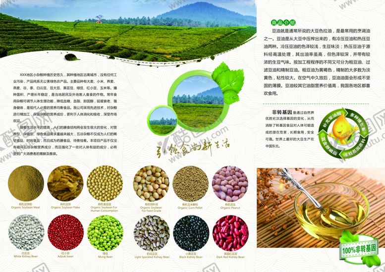 编号：19280606281329476322【酷图网】源文件下载-五谷杂粮海报谷物豆豆素材