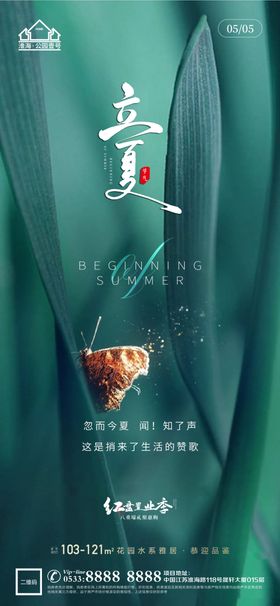 地产立夏夏至微信风俗荷花易拉宝中国传统节气