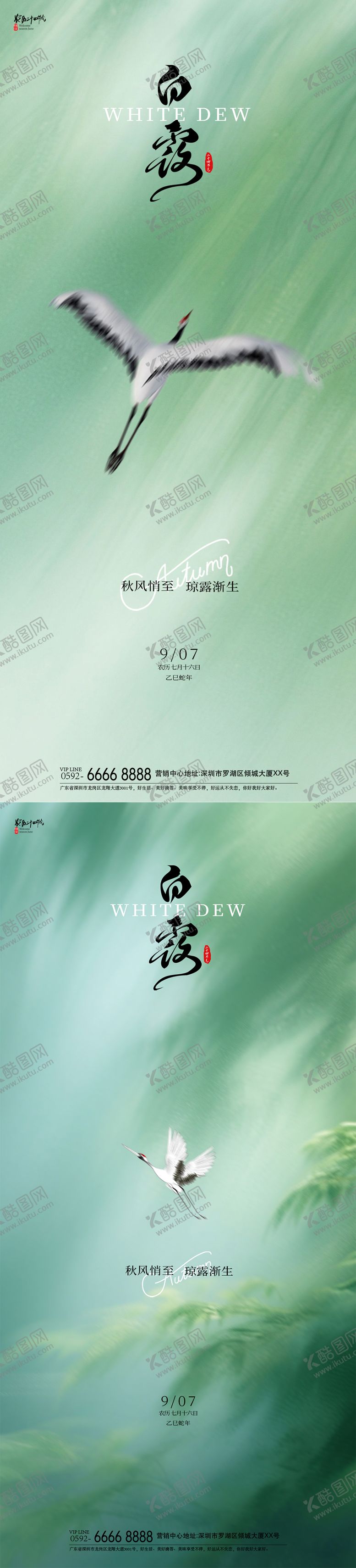 编号：82240509150525221661【酷图网】源文件下载-白露飞鹤海报