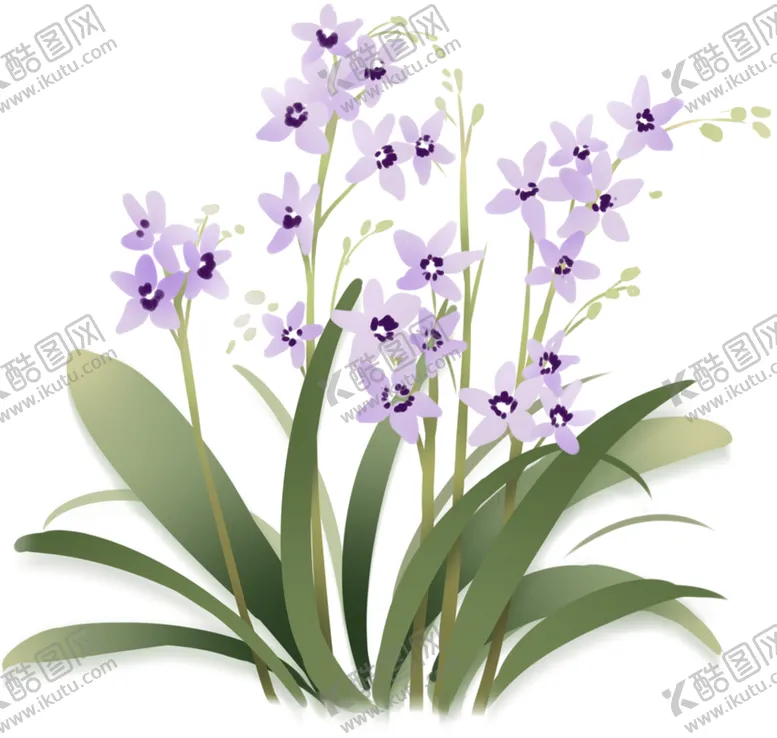编号：49836209090650042089【酷图网】源文件下载-兰花