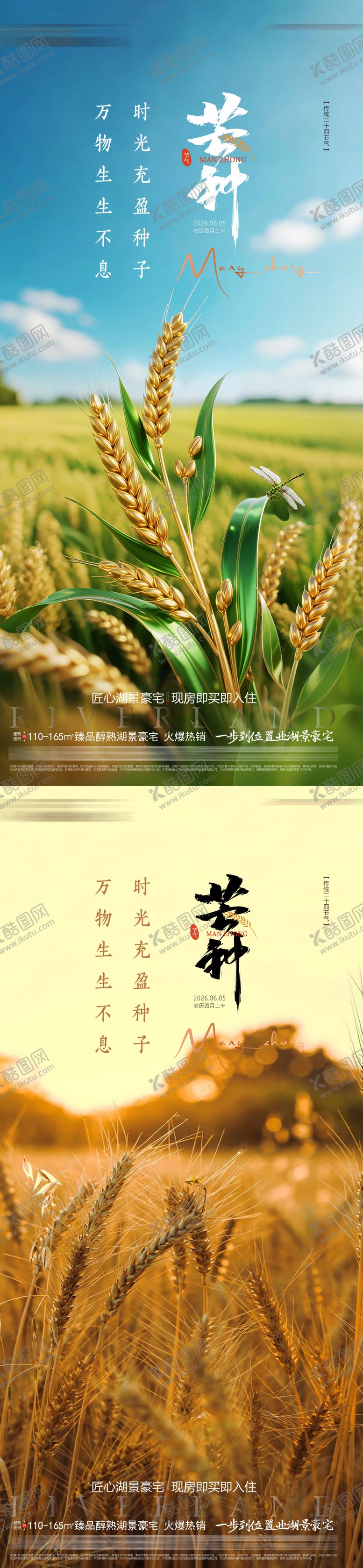 编号：23449305240210069056【酷图网】源文件下载-地产芒街节气海报