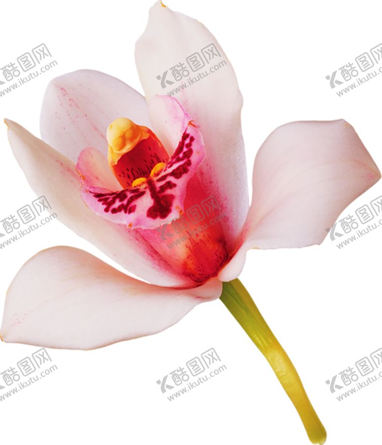 编号：95248409222159539671【酷图网】源文件下载-浪漫素材