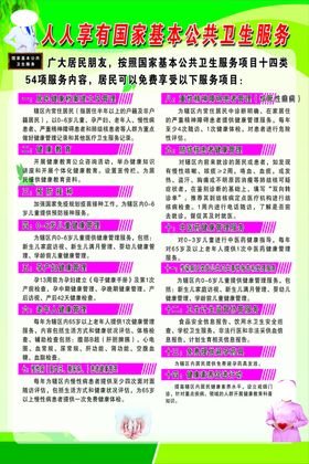 国家基本公共