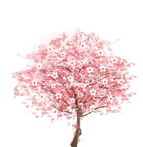 樱花装饰素材