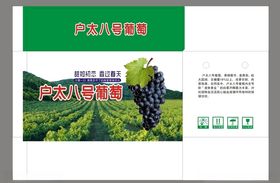 户太八号葡萄