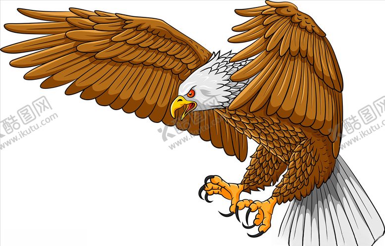 编号：78604710032003339891【酷图网】源文件下载-老鹰