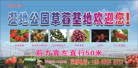 草莓基地