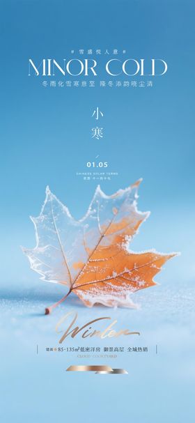 地产小寒质感海报