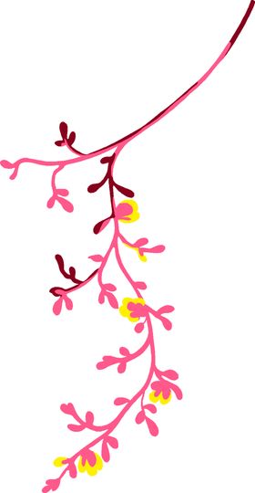 清新森系花枝