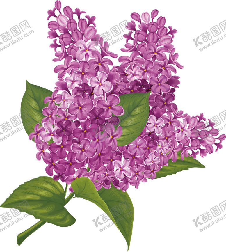 编号：35854409292119563837【酷图网】源文件下载-鲜花素材