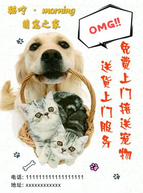 宠物店开业宣传单海报图片