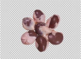 腰子