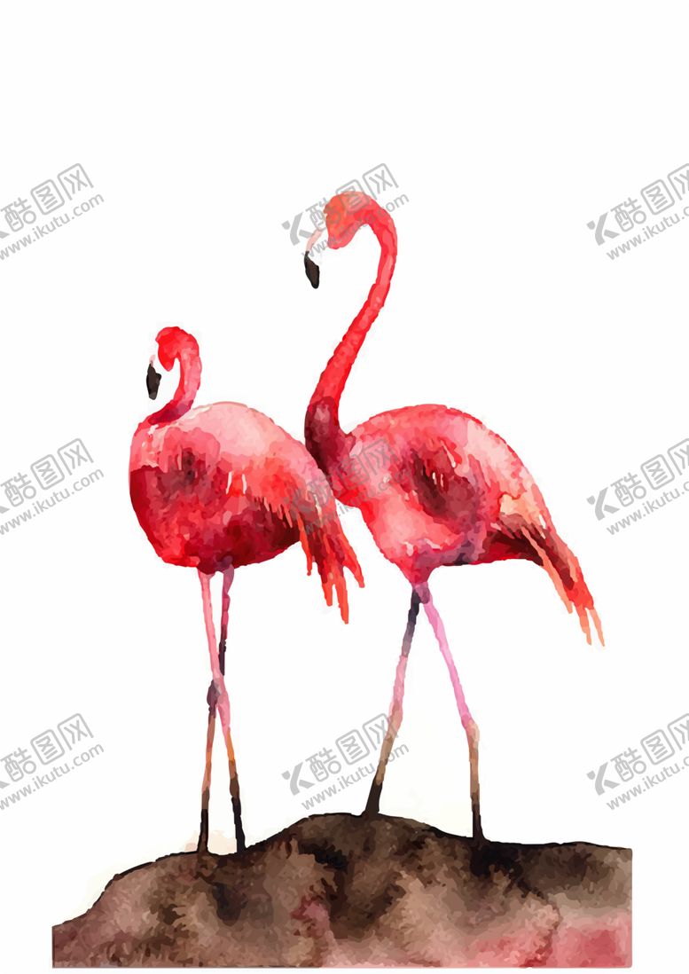 编号：58689410172202297474【酷图网】源文件下载-火烈鸟装饰画