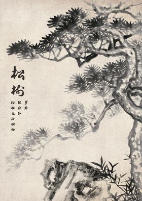 松树狐狸