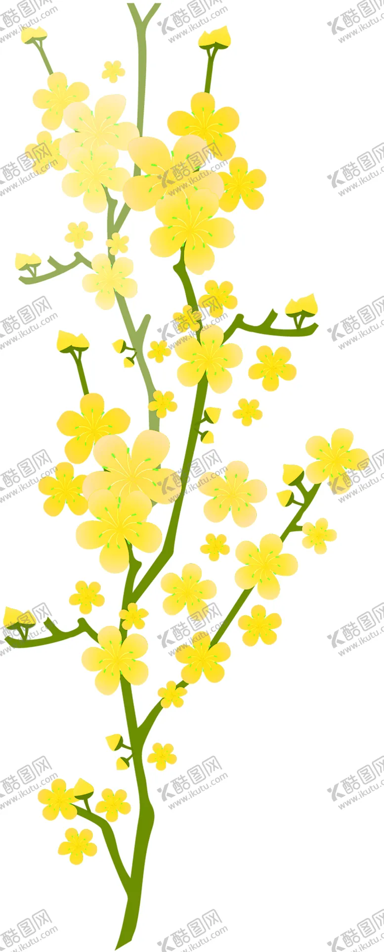 编号：88278206170317331705【酷图网】源文件下载-花素材