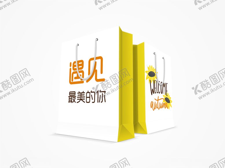 编号：50965905062344066497【酷图网】源文件下载-简约清新小雏菊手提袋