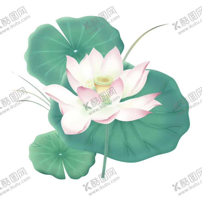 编号：31219405012151473854【酷图网】源文件下载-荷花元素