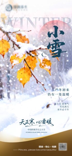 美业二十四节气小雪海报
