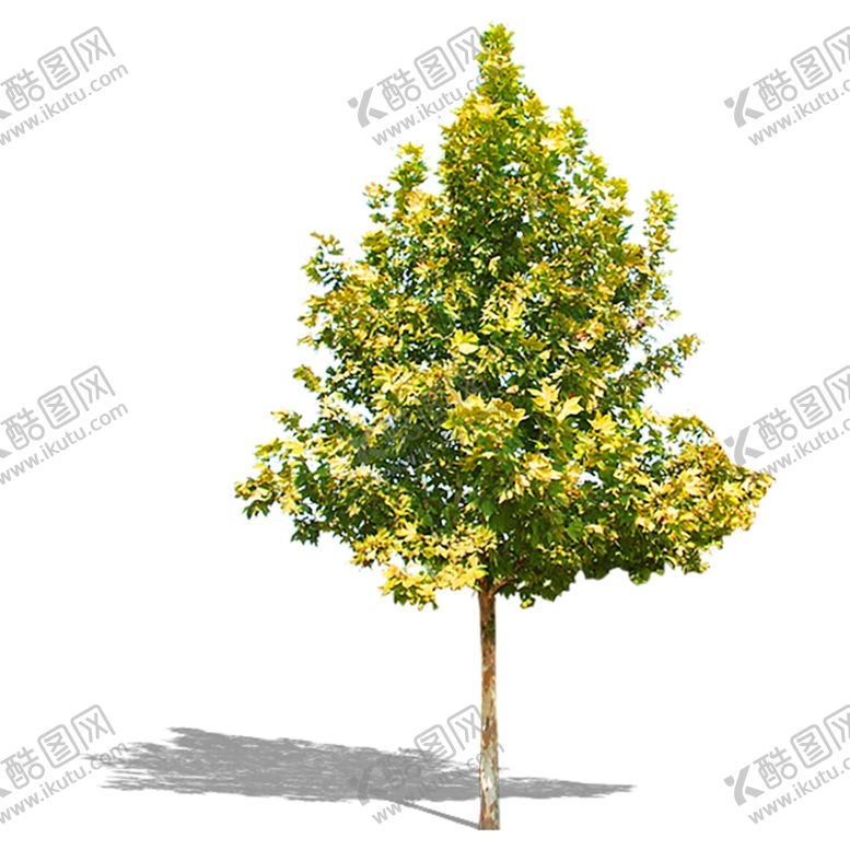 编号：68669009180603465268【酷图网】源文件下载-植物