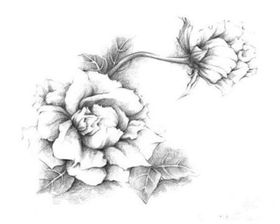 牡丹花素材金色海报油画