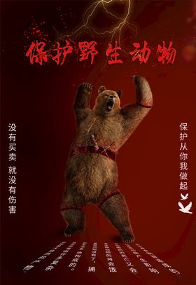 保护野生动物
