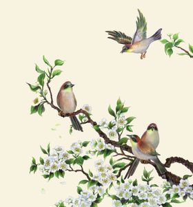 花鸟