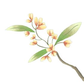 桂花八月半月饼海报素材