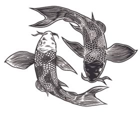 鲤鱼插画图案