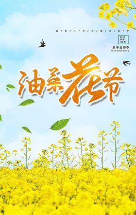 油菜花开