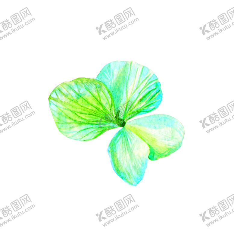 编号：38104505172337495695【酷图网】源文件下载-鲜花装饰