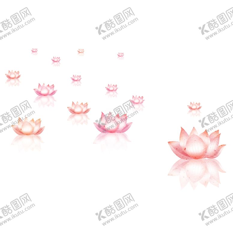 编号：25836501260240384382【酷图网】源文件下载-荷花素材