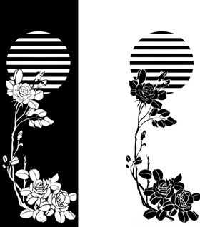 月季