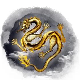金龙免扣纹插画双戏珠