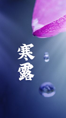 寒露活动传统节气