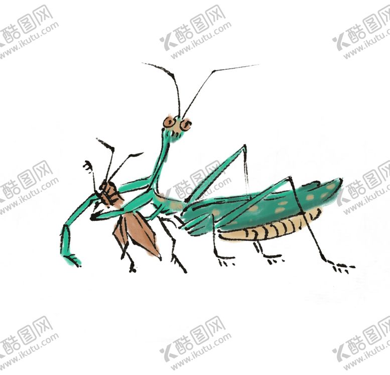 编号：12341907031739464114【酷图网】源文件下载-手绘卡通蚱蜢