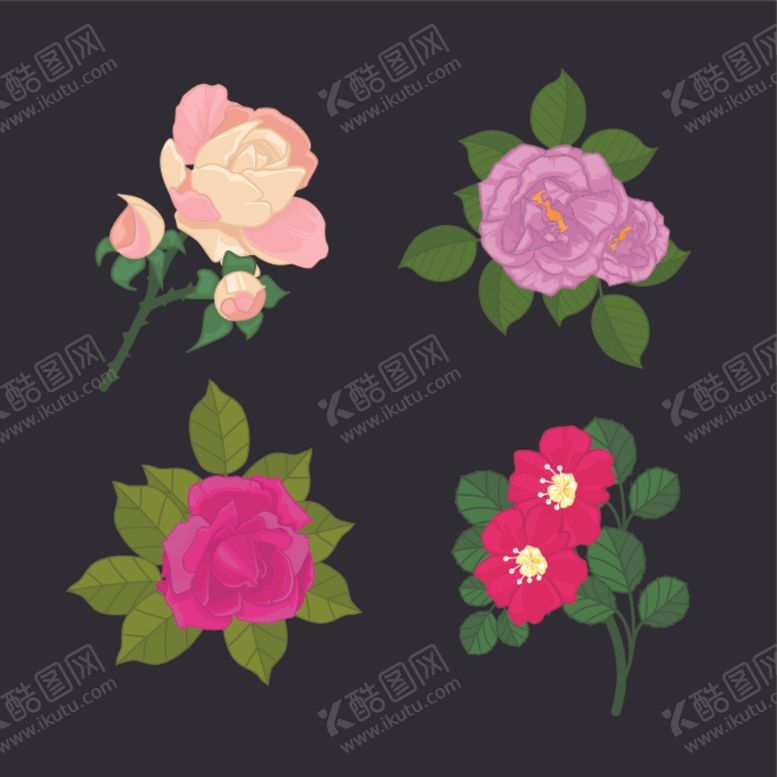 编号：86455105161016351354【酷图网】源文件下载-绿植花卉