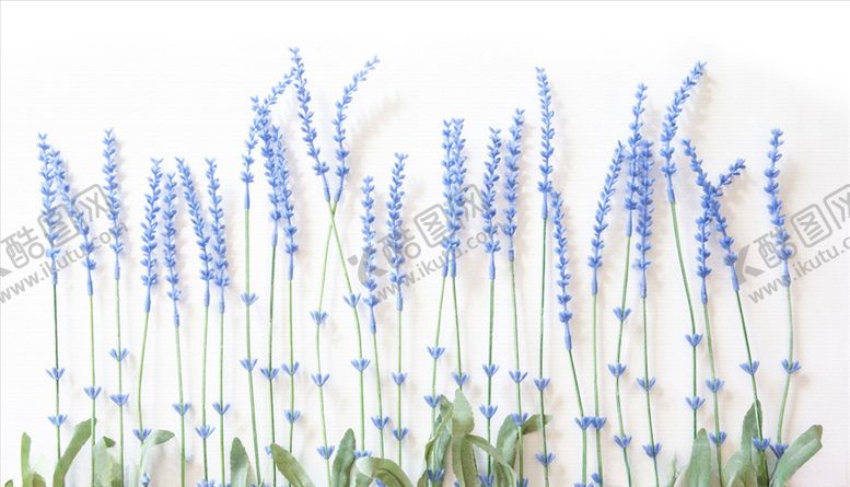 编号：57316705060330269172【酷图网】源文件下载-小植物小碎花背景墙