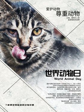 保护动物