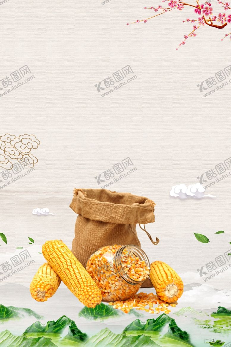 编号：60697212050646178371【酷图网】源文件下载-玉米背景