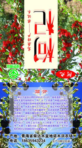 枸杞