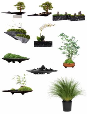 免抠高清植物盆栽